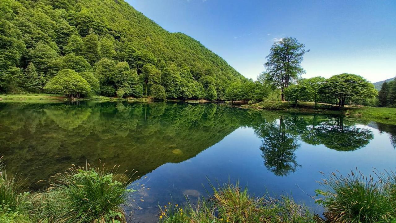 Bed and Breakfast Le Jardin De Moulis, Saint Girons, Ariege, Pyrenees, Экстерьер фото