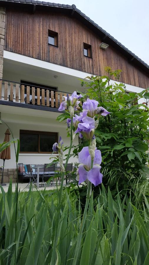 Bed and Breakfast Le Jardin De Moulis, Saint Girons, Ariege, Pyrenees, Экстерьер фото