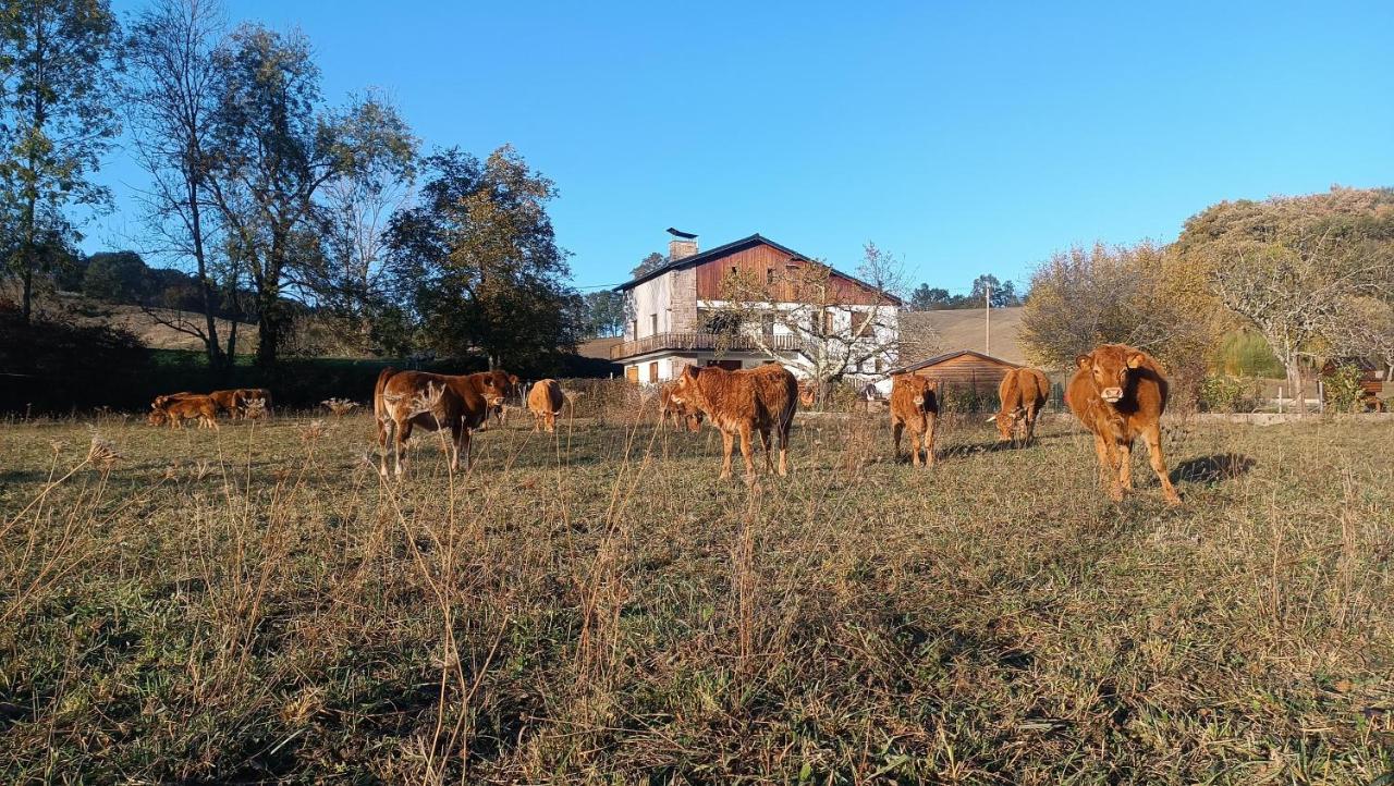 Bed and Breakfast Le Jardin De Moulis, Saint Girons, Ariege, Pyrenees, Экстерьер фото